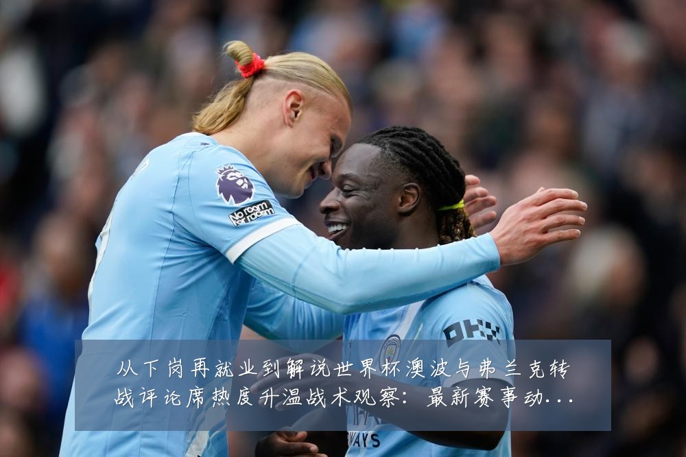 从下岗再就业到解说世界杯澳波与弗兰克转战评论席热度升温战术观察:最新赛事动态与深度分析